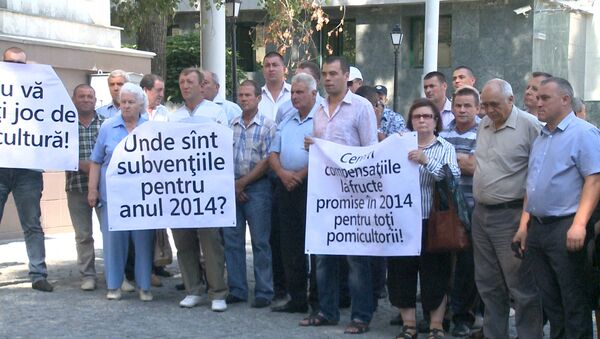 Fermierii protestează la Chişinău - Sputnik Moldova