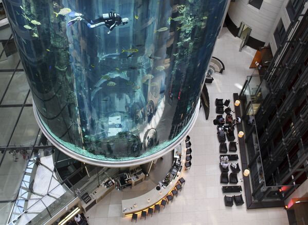 Aqua Dom - крупнейший в мире аквариум с солёной водой - Sputnik Молдова