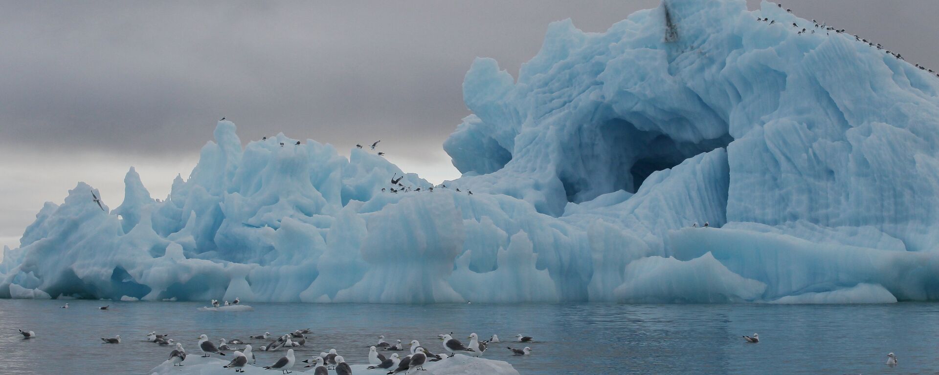 Iceberg near Hooker Island, Franz Josef Land, Russia - Sputnik Moldova, 1920, 23.09.2024