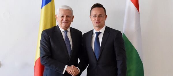 Teodor Meleșcanu și Szijjártó Péter - Sputnik Moldova-România