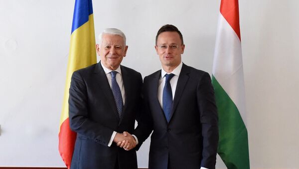 Teodor Meleșcanu și Szijjártó Péter - Sputnik Moldova-România