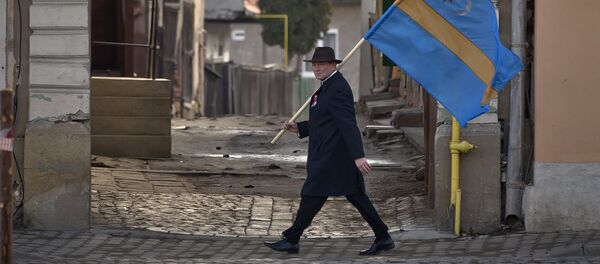 Bărbat cu un steag secuiesc, poză de arhivă - Sputnik Moldova-România