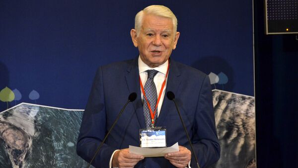 Teodor Meleșcanu la Bucharest Forum - Sputnik Moldova-România