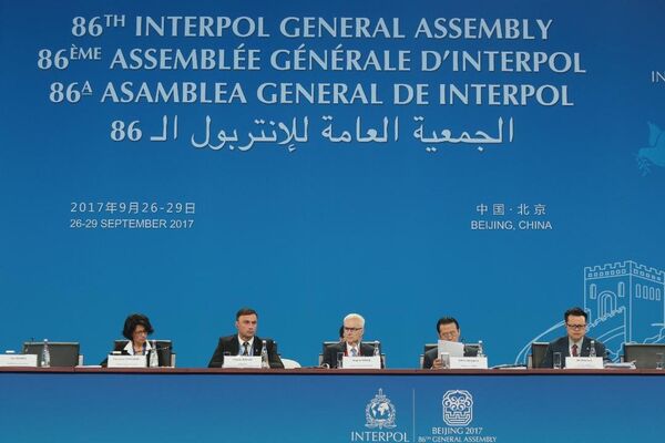 Vitalie Pîrlog la Adunarea Generală a INTERPOL, Beijing 2017 Vitalie Pîrlog la Adunarea Generală a INTERPOL, Beijing 2017 - Sputnik Moldova
