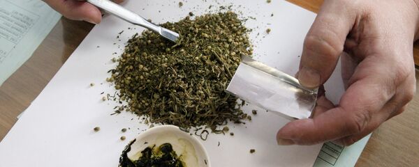 Специалист лаборатории по исследованию наркотических средств, архивное фото - Sputnik Молдова