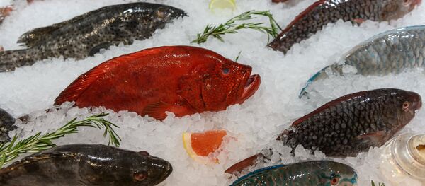 Охлажденная рыба - Sputnik Moldova