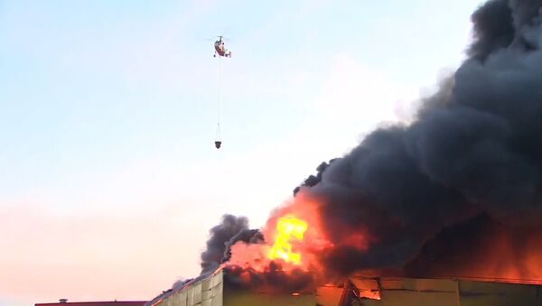 Пожар на рынке Синдика в Московской области - Sputnik Молдова