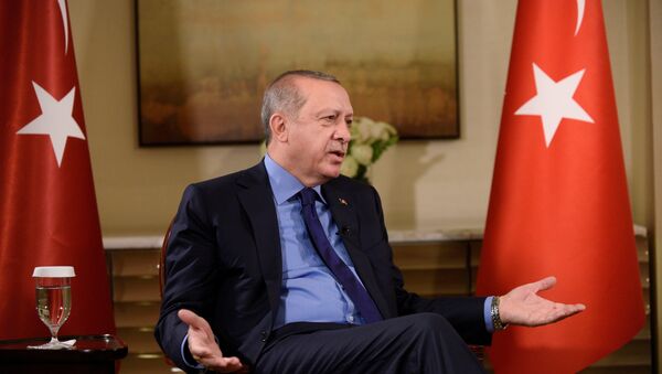 Cumhurbaşkanı Recep Tayyip Erdoğan - Sputnik Молдова