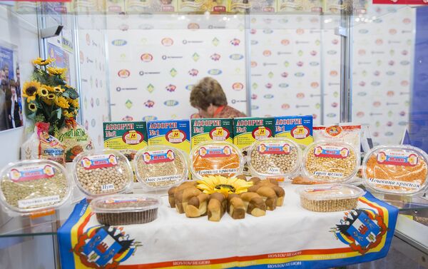 Открытие выставки  Expo - Russia Moldova 2017 - Sputnik Молдова