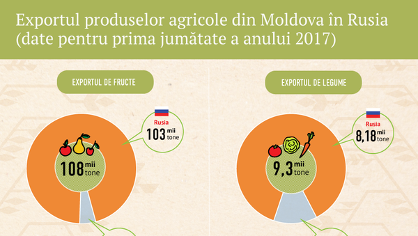 Exportul produselor agricole din Moldova în Rusia - Sputnik Moldova