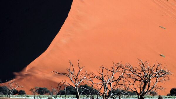 Пустыня в Намибии  - Sputnik Молдова