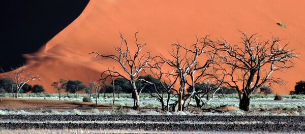 Пустыня в Намибии  - Sputnik Молдова