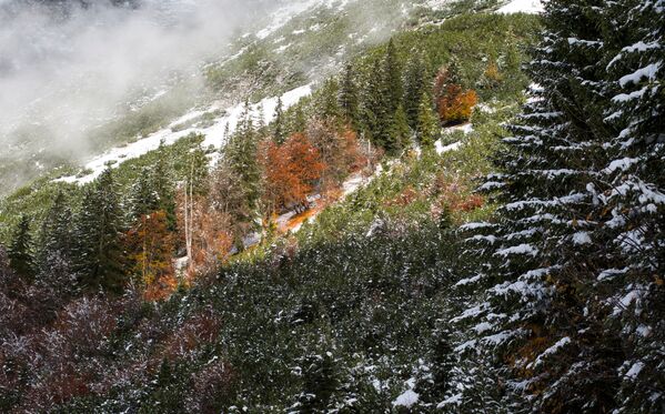 Склон горы в красках осени в Австрии - Sputnik Молдова
