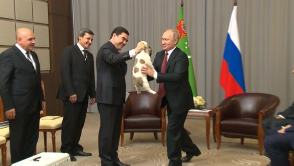 Президент Туркменистана подарил Путину щенка алабая - Sputnik Молдова