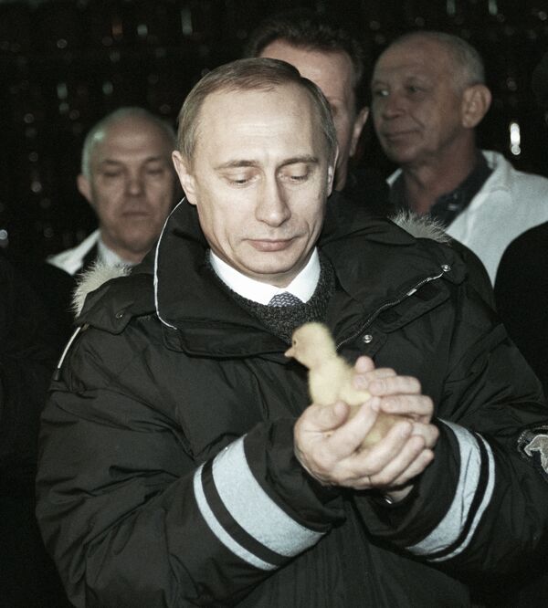 И. О. Президента России Владимир Путин с цыпленком в руках, 2000 год - Sputnik Молдова