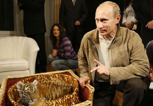 Владимир Путин познакомил журналистов с подаренным ему тигренком - Sputnik Молдова