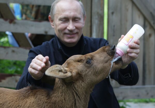 Премьер-министр РФ Владимир Путин во время посещения парка Лосиный остров - Sputnik Молдова