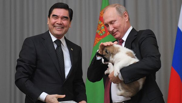 Президент Туркмении Гурбангулы Бердымухамедов подарил щенка алабая президенту РФ Владимиру Путину - Sputnik Молдова