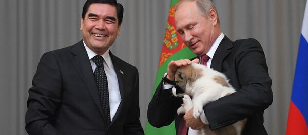 Президент Туркмении Гурбангулы Бердымухамедов подарил щенка алабая президенту РФ Владимиру Путину - Sputnik Молдова