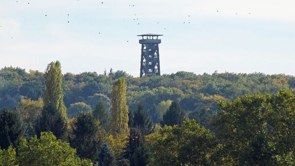 Башня Гетё во Франкфурте-на-Майне, архивное фото - Sputnik Молдова