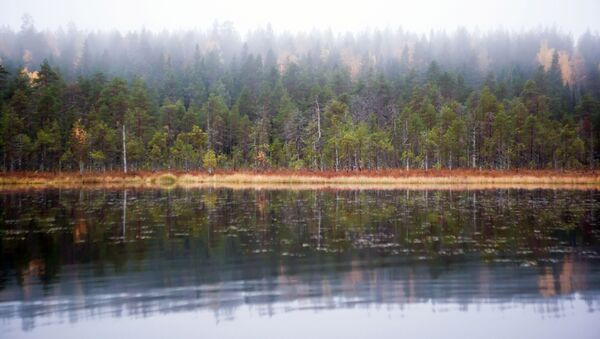 Озеро Толвоярви в Суоярвском районе Республики Карелия - Sputnik Молдова