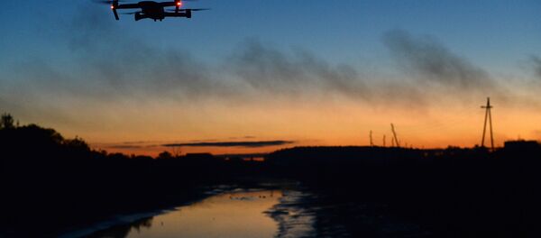 Повседневная жизнь - Sputnik Молдова