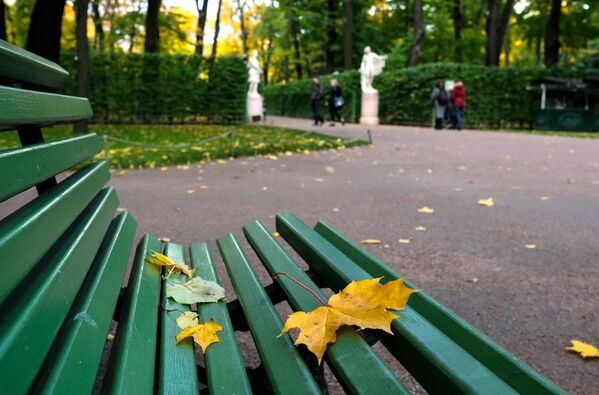 Листья на лавочке в Летнем саду в Санкт-Петербурге - Sputnik Молдова
