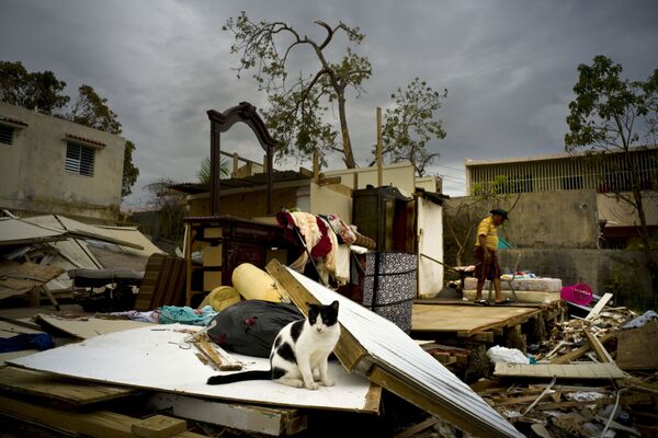 Разрушения после урагана Мария в городе Сан-Хуан, Пуэрто-Рико - Sputnik Молдова