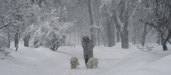 Обильный снегопад в Москве - Sputnik Moldova-România
