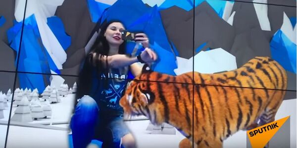 Телепорт и клетка с тигром на ВФМС-2017 в Сочи - Sputnik Молдова