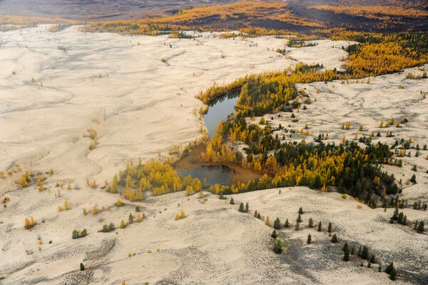 Вид на Чарские пески в Чарской долине Забайкальского края - Sputnik Молдова