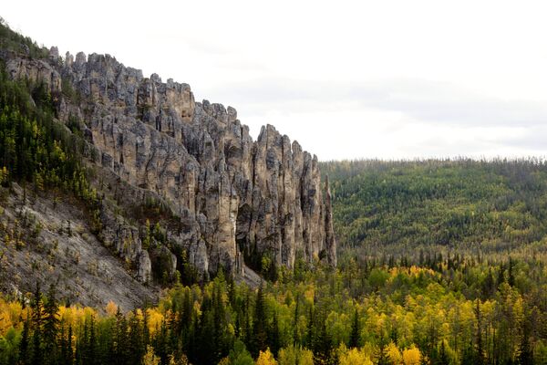 Национальный природный парк Ленские столбы в Якутии - Sputnik Молдова