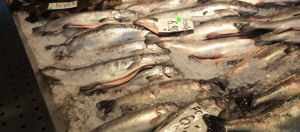 Рыба на прилавке - Sputnik Молдова