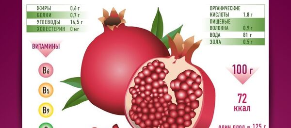 Полезные свойства граната – инфографика на sputnik.by Полезные свойства граната – инфографика на sputnik.by - Sputnik Молдова