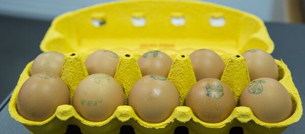 Ouă de găină - Sputnik Moldova