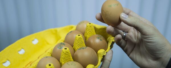 Куриные яйца - Sputnik Moldova