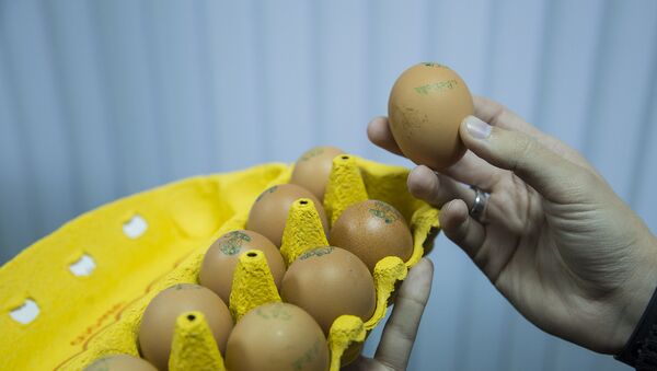 Куриные яйца - Sputnik Moldova-România