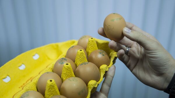 Куриные яйца - Sputnik Moldova
