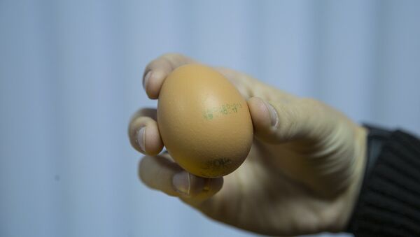Ou de găină  - Sputnik Moldova