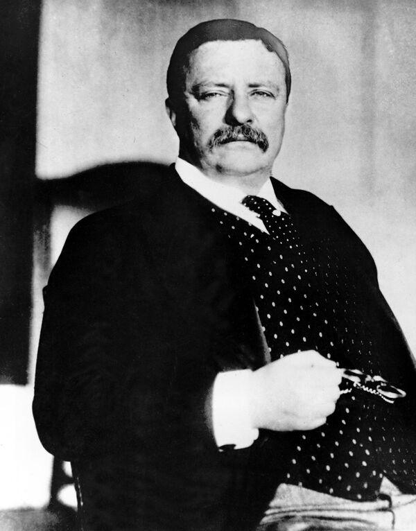 Theodore Roosevelt a fost ales prețedinte al SUA în 1901, la vârsta de 42 de ani, fotografie de arhivă - Sputnik Moldova-România