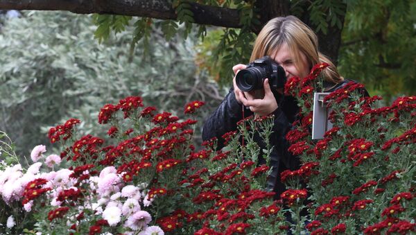 Посетительница фотографирует на открытии выставки Бал хризантем в Никитском ботаническом саду - Sputnik Молдова