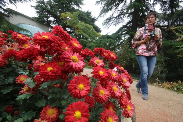 Посетительница на открытии выставки Бал хризантем в Никитском ботаническом саду в Крыму - Sputnik Молдова