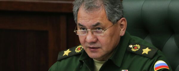 Министр обороны Сергей Шойгу. Министерство обороны Российской Федерации - Sputnik Moldova-România