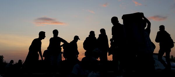 Syrian migrants walk in the sunset after they crossed the Hungarian-Serbian border near Roszke, Hungary August 25, 2015. - Sputnik Moldova