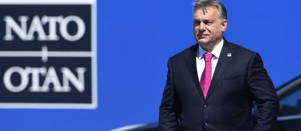 Viktor Orban - Sputnik Moldova