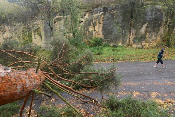 Прохожий проходит мимо упавшего дерева в результате ураганного ветра в Праге, Чехия - Sputnik Молдова