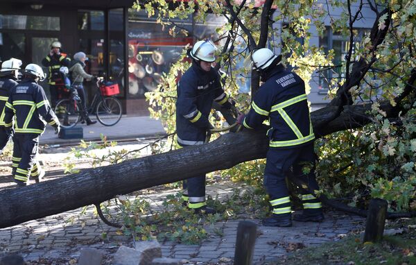 Пожарные распиливают упавшее дерево после прохождения шторма Герварт в Германии - Sputnik Молдова