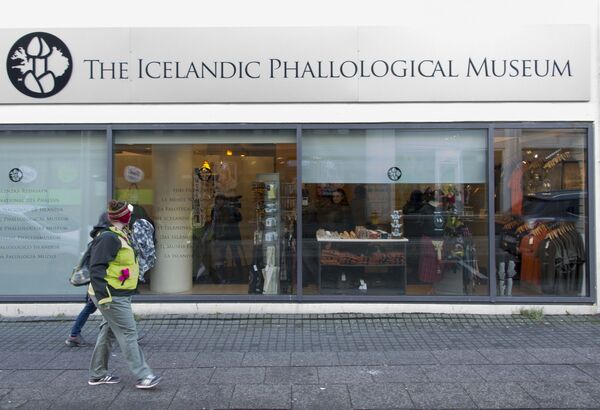 Muzeul falologic, Reykjavik - Sputnik Moldova