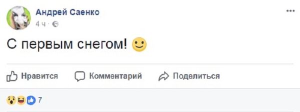 Статус в Facebook о первом снеге в Молдове - Sputnik Молдова