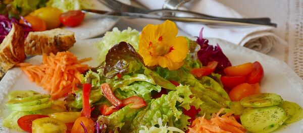 Салат из овощей, фото из архива - Sputnik Молдова